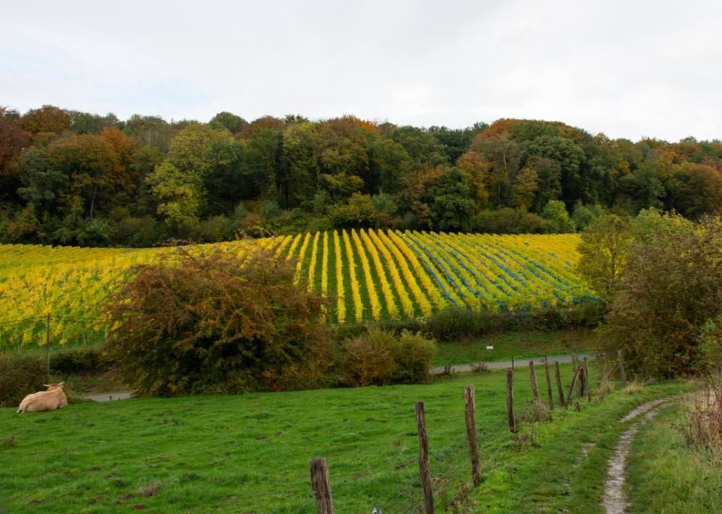 Belgium